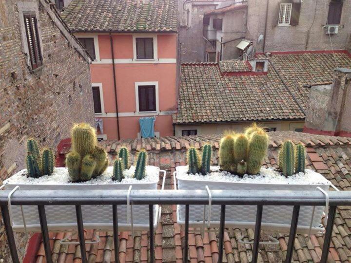 Campo Dei Fiori Funny Flat Apartment Rome Exterior photo